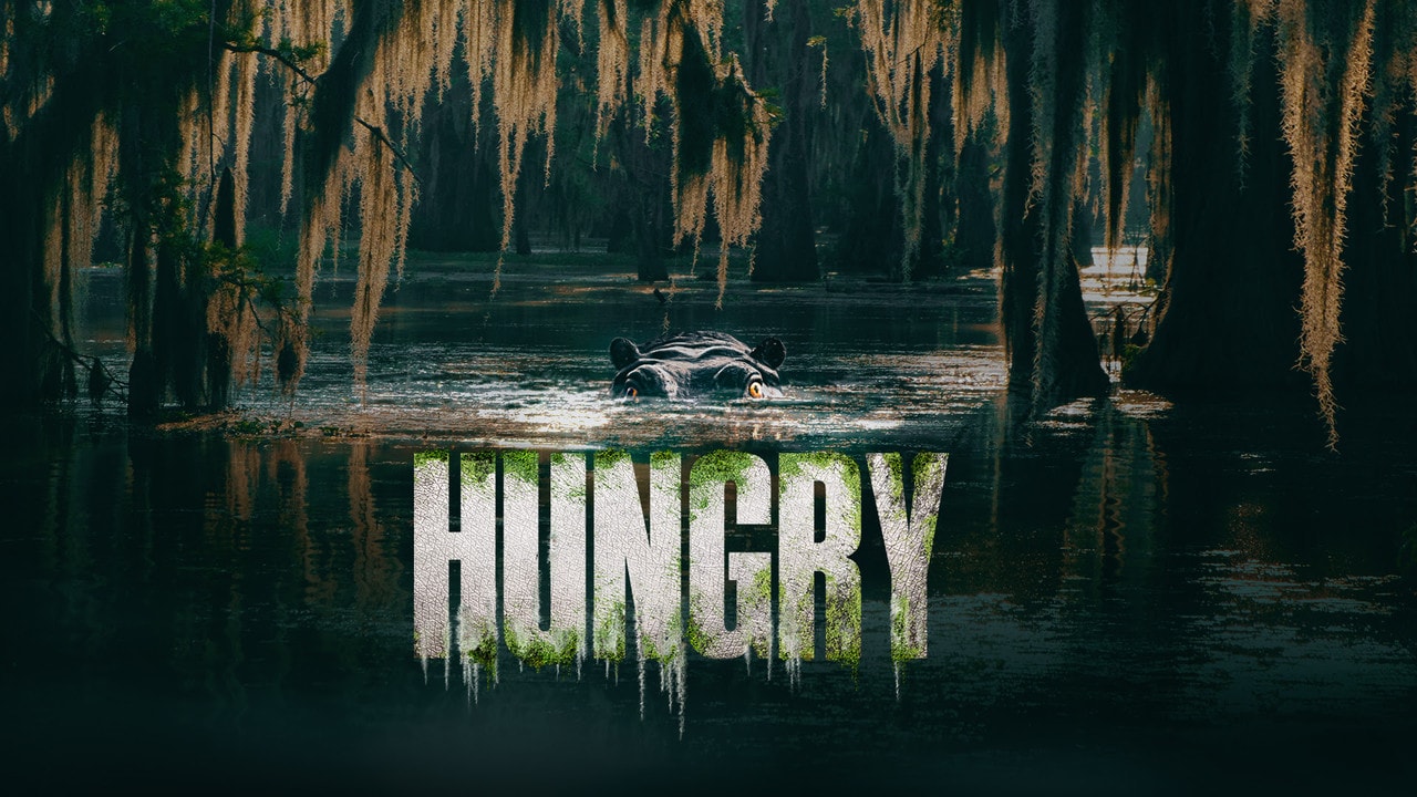 HUNGRY (2026) backdrop
