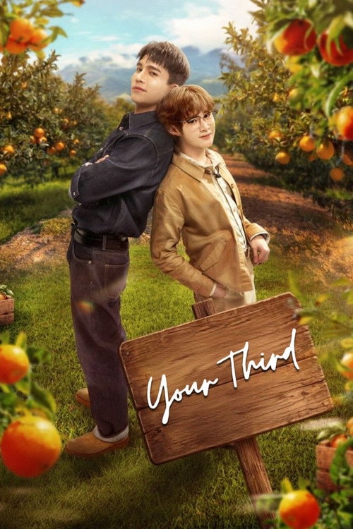 Your Third (2026) poster