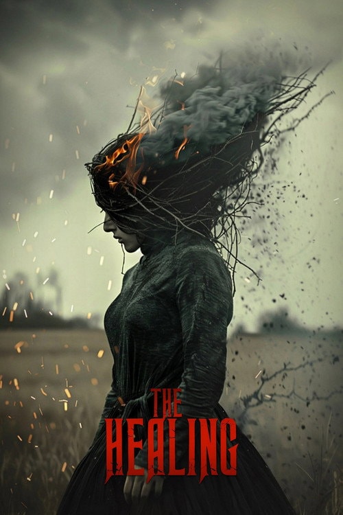 The Healing poster