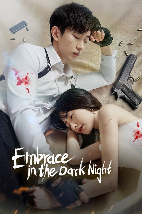 Embrace in the Dark Night 2024 poster